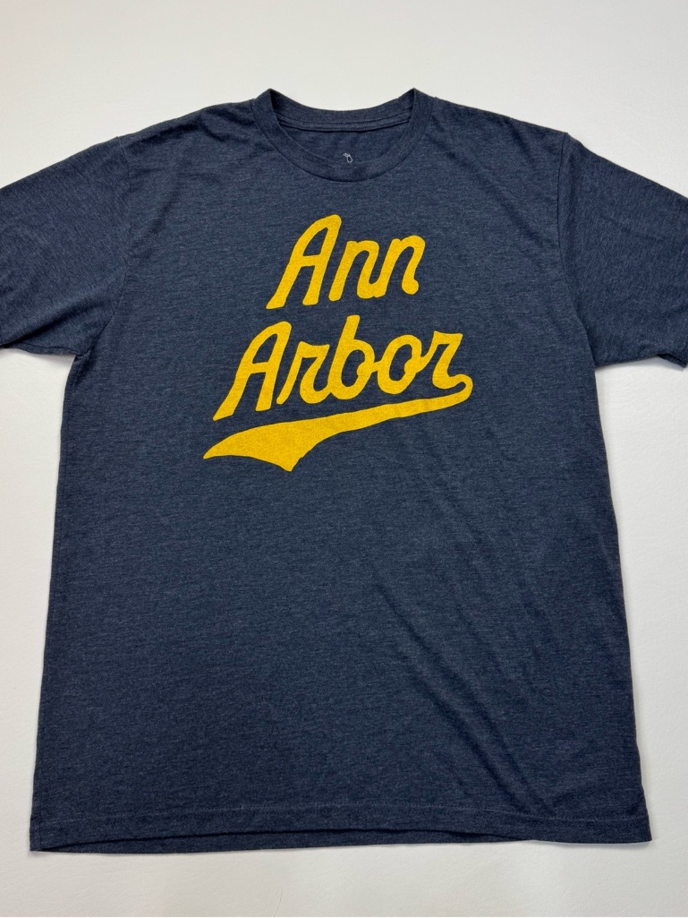 The Mitten State Soft Tee Ann Arbor Size Large